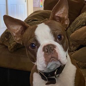 Meet your Posher, Tosha